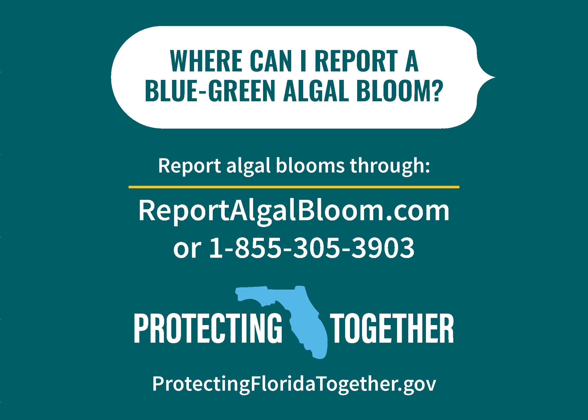 fdep report algal blooms